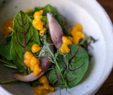 コースお料理写真