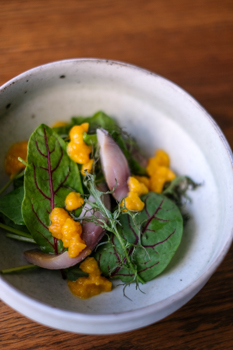 コースお料理２